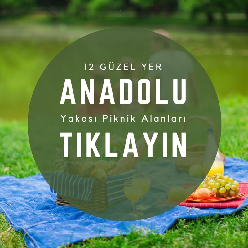 Anadolu Yakası Piknik Alanları