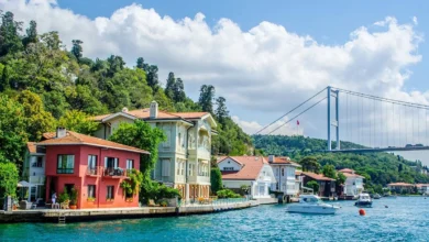  fotoğrafı