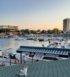 Ataköy Marina